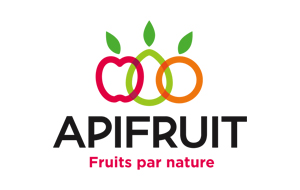 logo apifruit